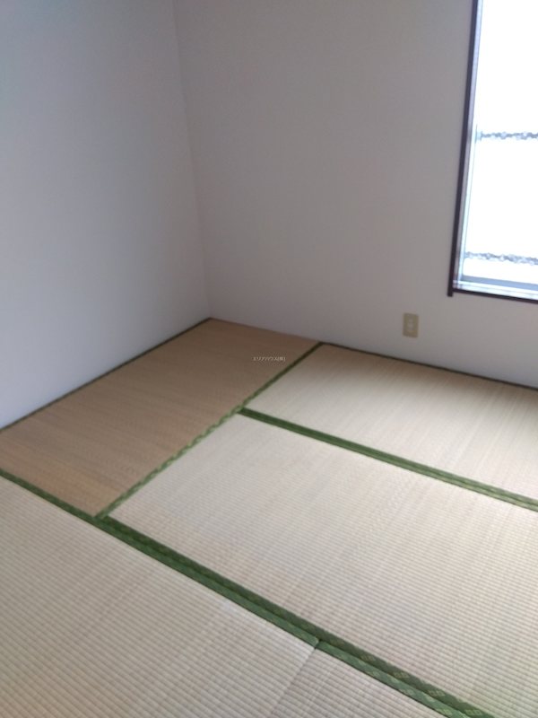 その他5