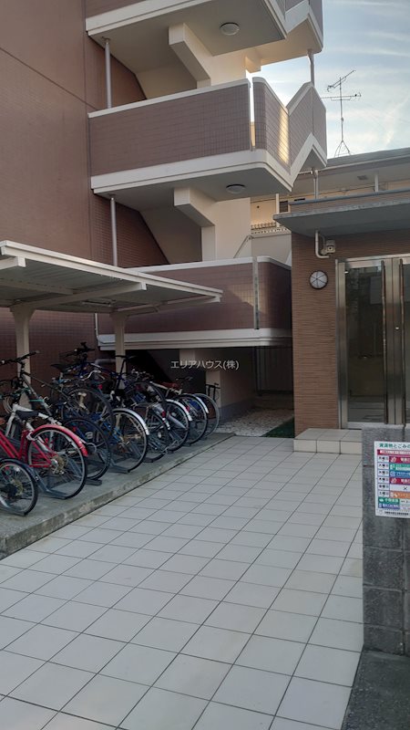 その他11