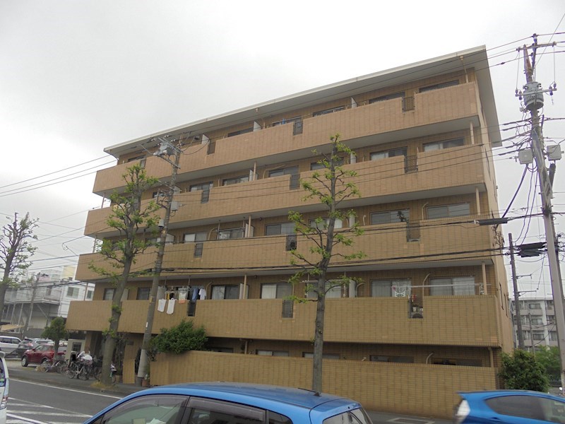 その他13