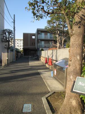 その他15