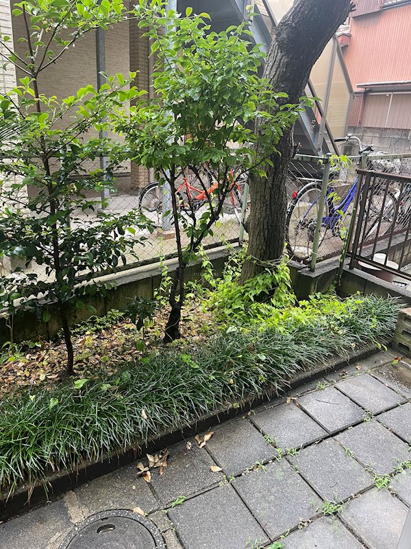 ベランダ