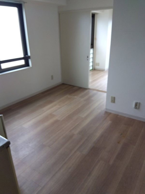その他11