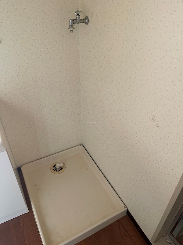 その他16