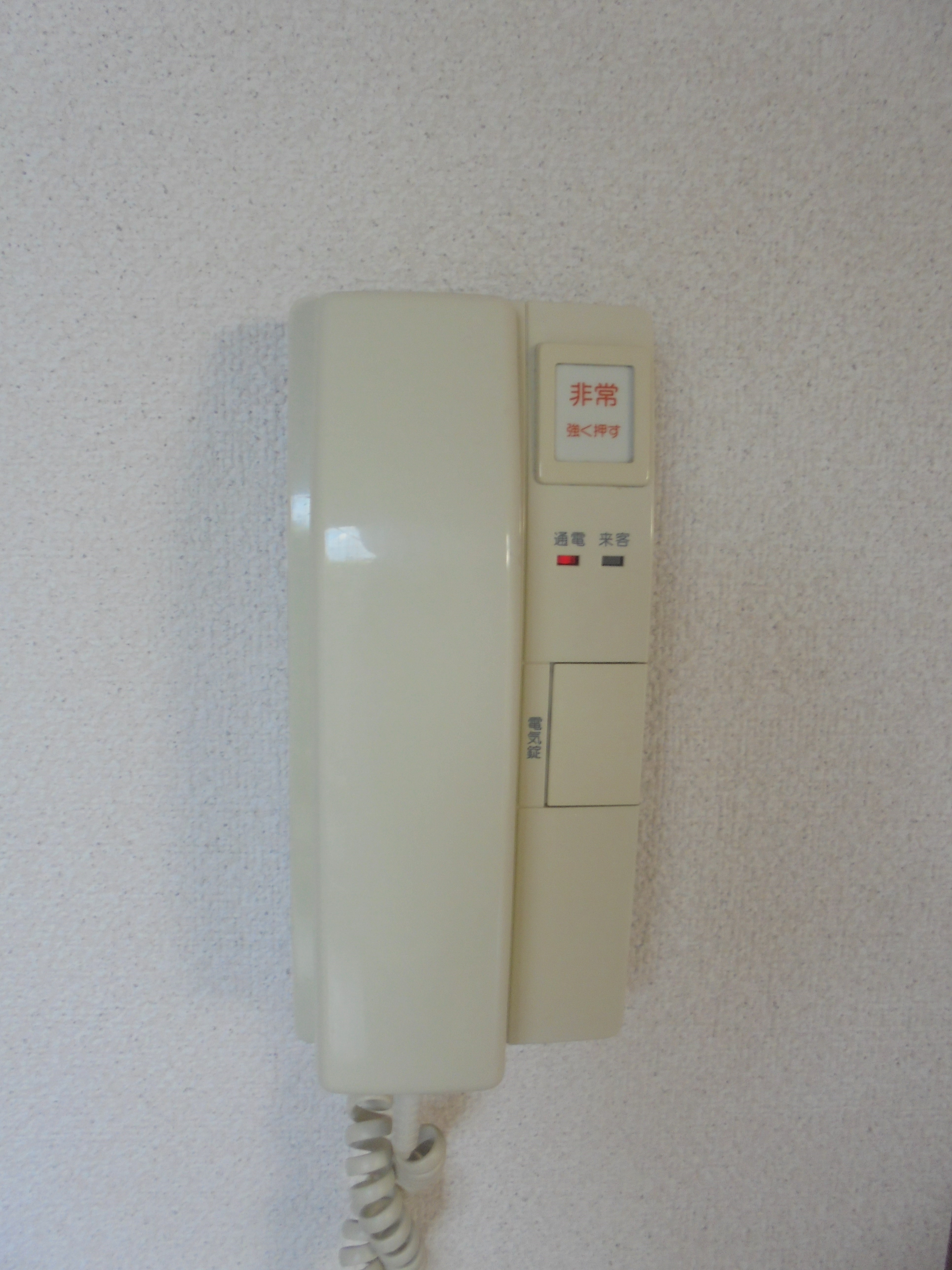 その他25