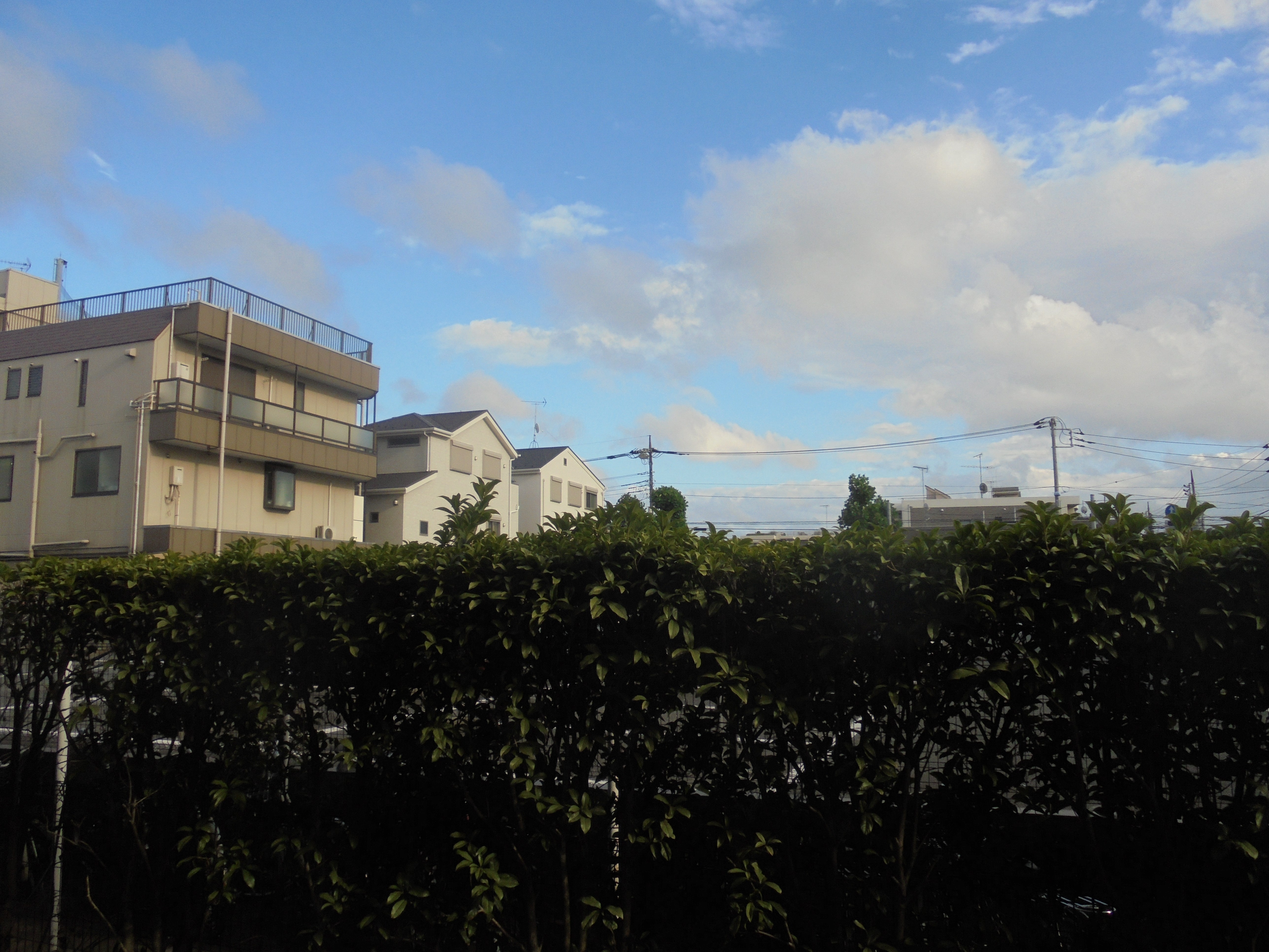 その他32