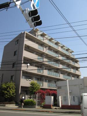 その他11
