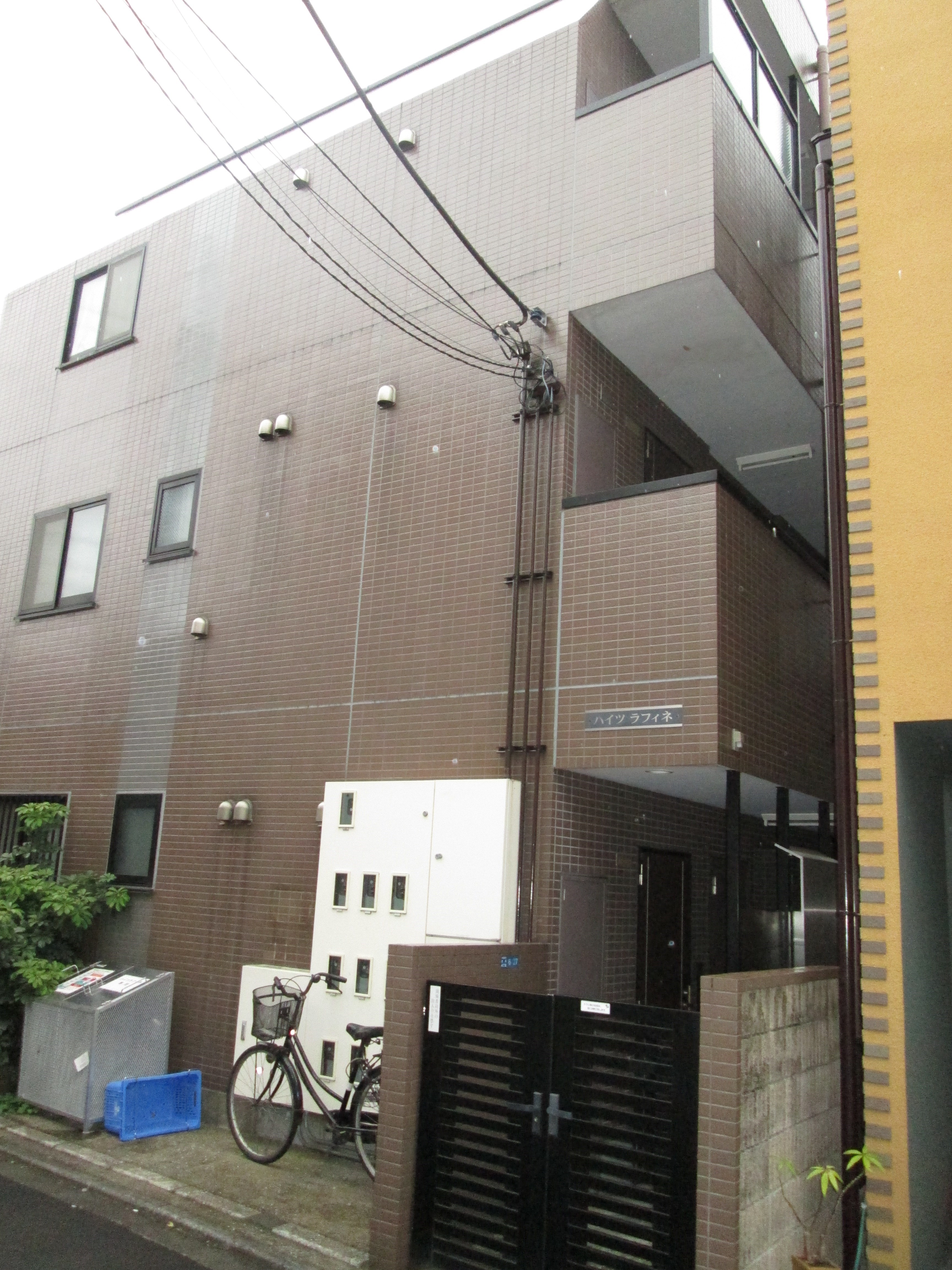 その他11