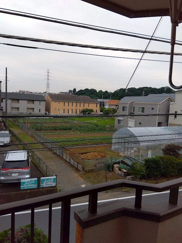 その他3