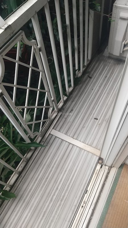 その他11