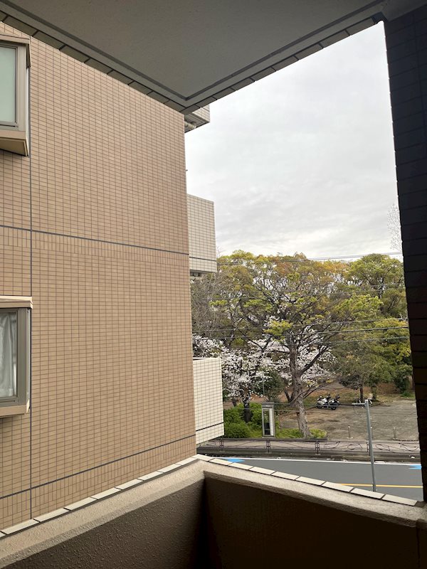 その他31