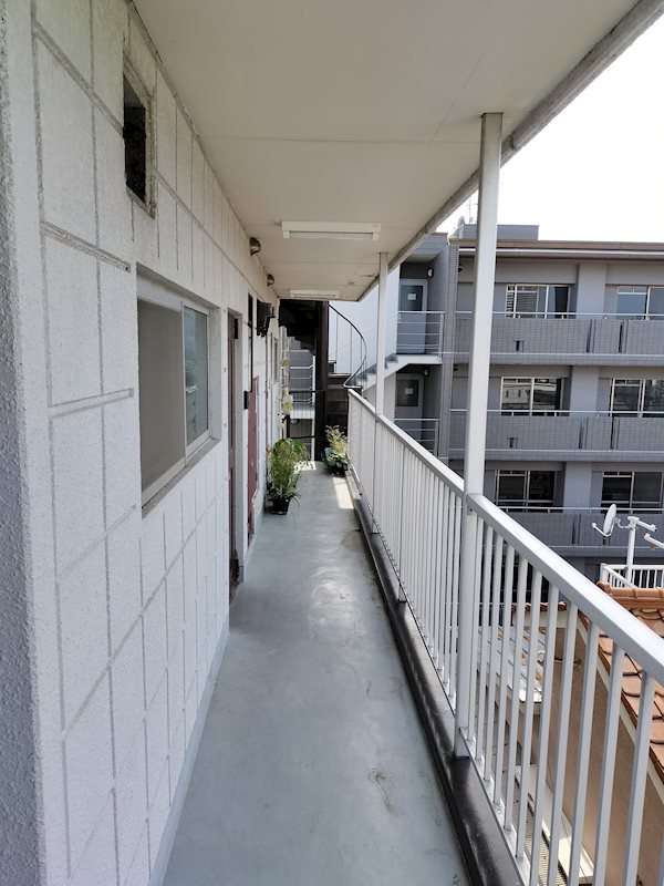 その他24