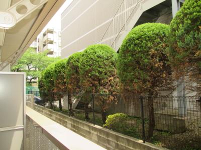 その他14