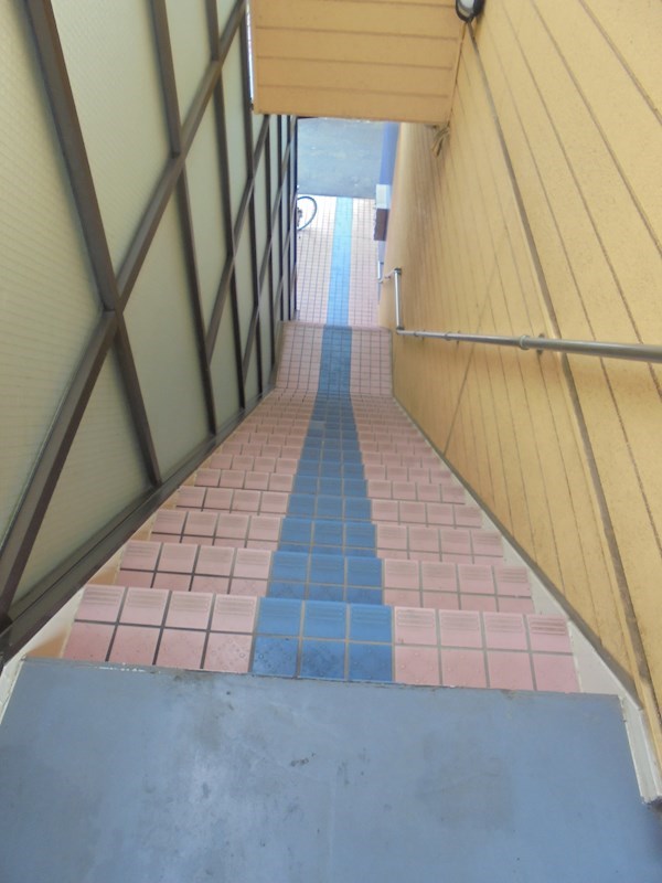 その他29