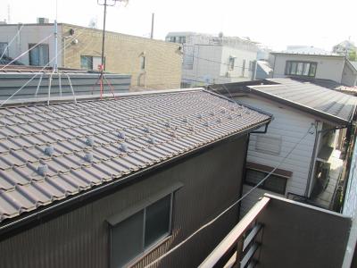 その他10