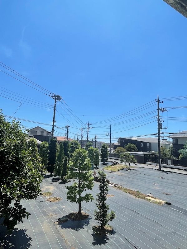 その他3