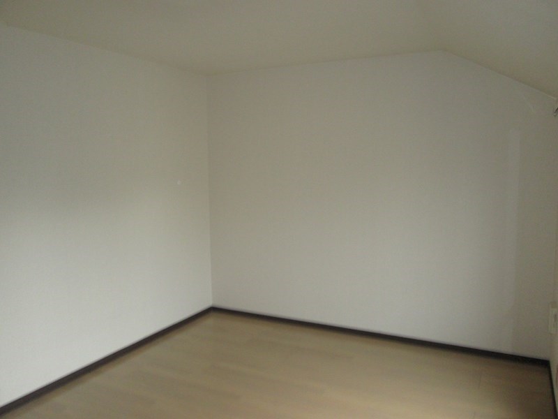 その他13