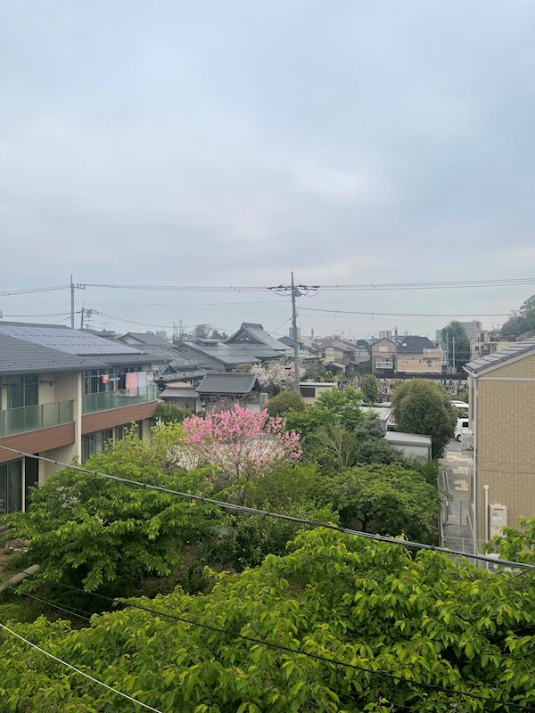 その他13