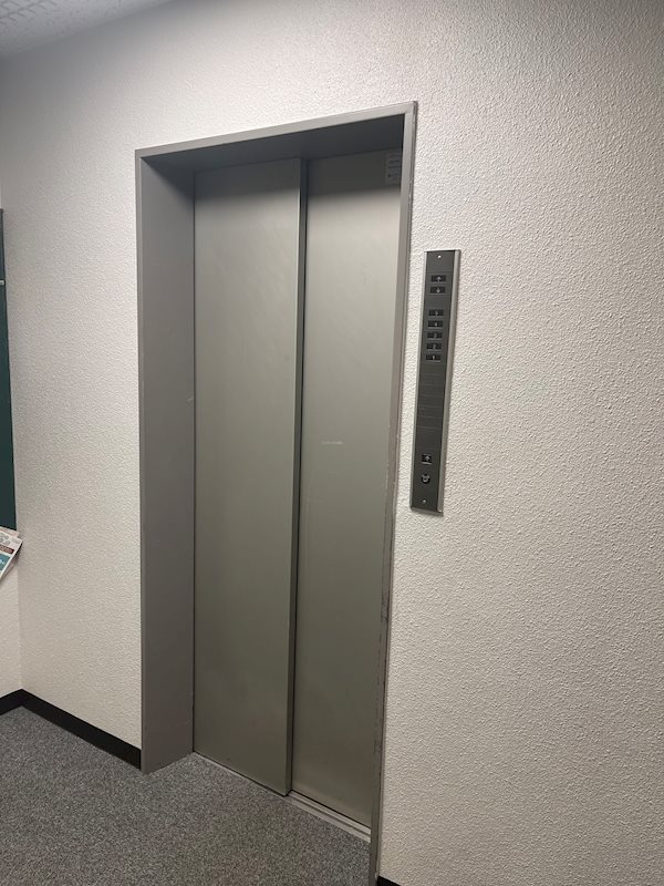 その他11