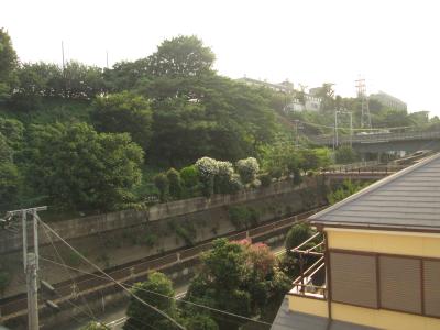 その他20
