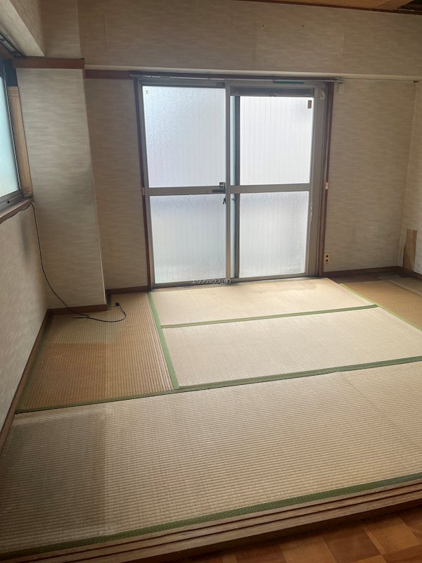 その他11