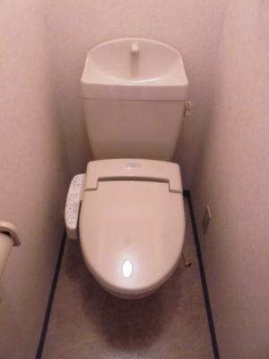 その他13