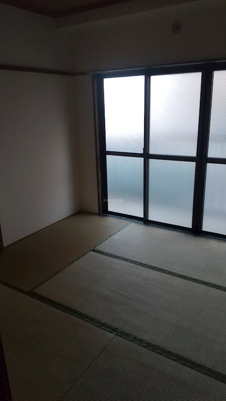 その他24