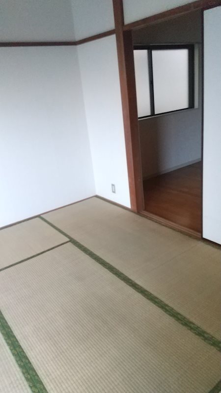 その他25