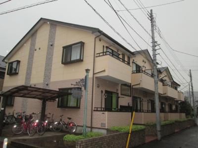 その他11