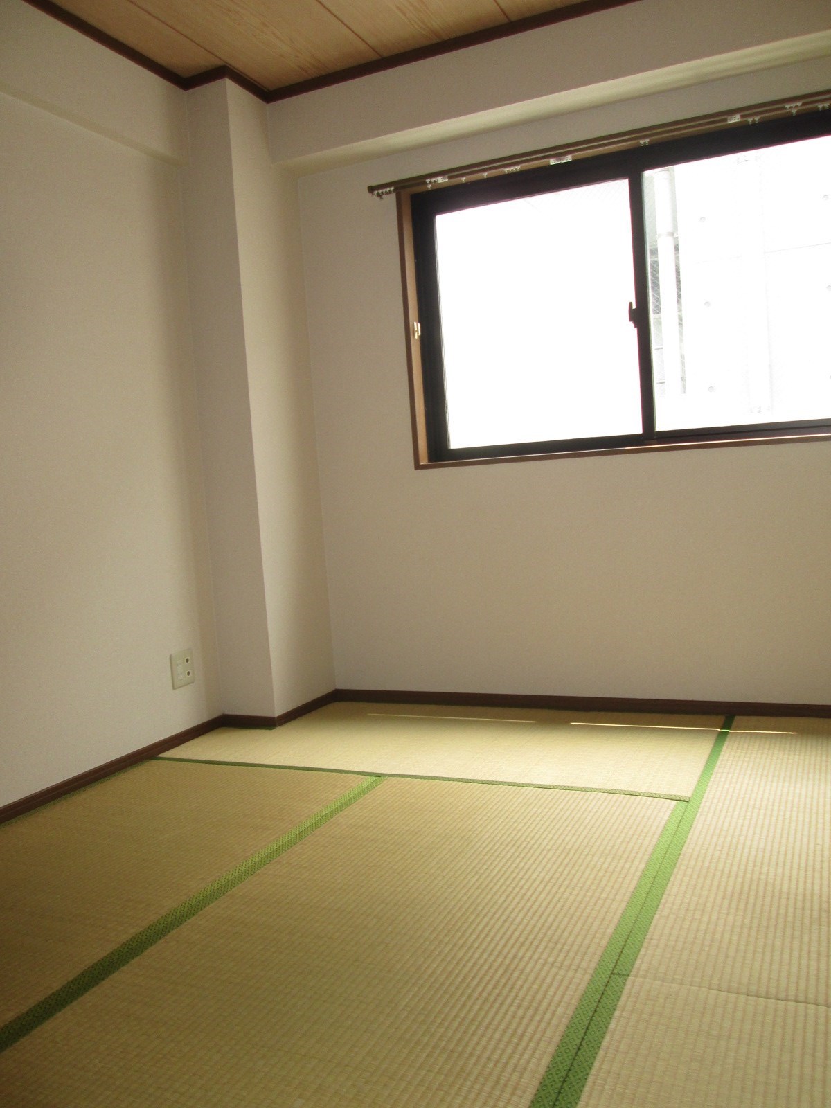 その他23