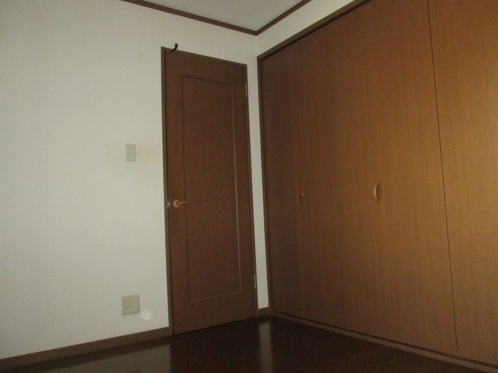その他29