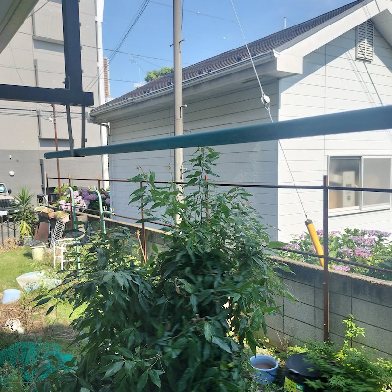 その他6