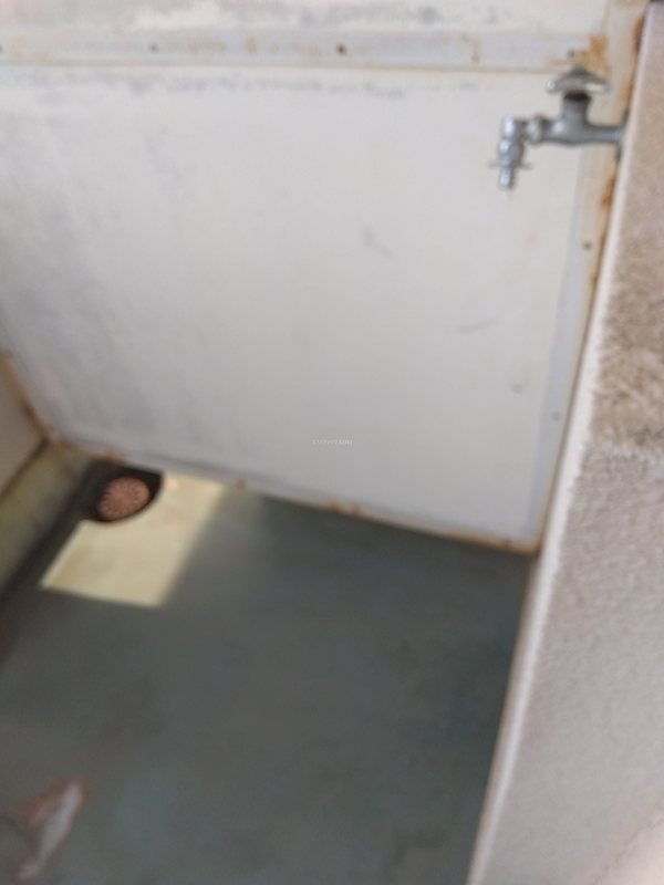 その他13