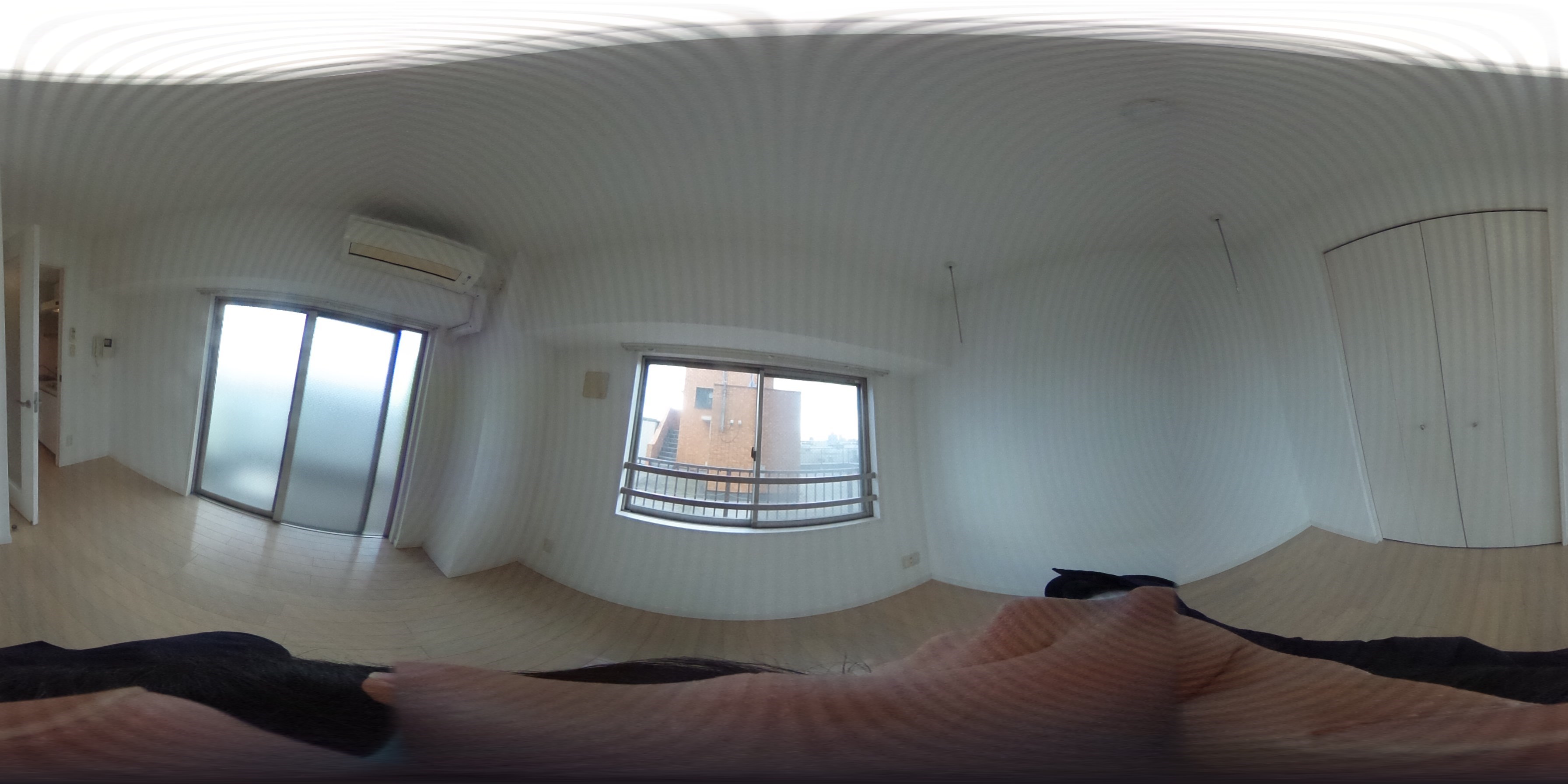 神奈川県川崎市中原区井田中ノ町 リビング