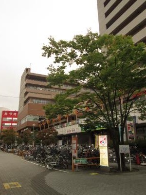 神奈川県川崎市幸区南加瀬３丁目 周辺の街並み