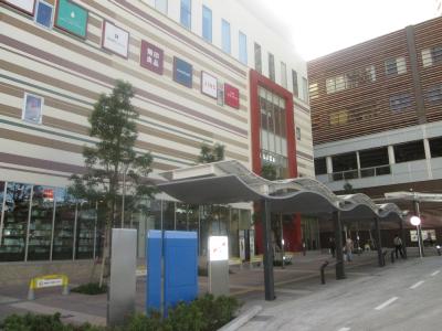 神奈川県川崎市中原区中丸子 ショッピング施設