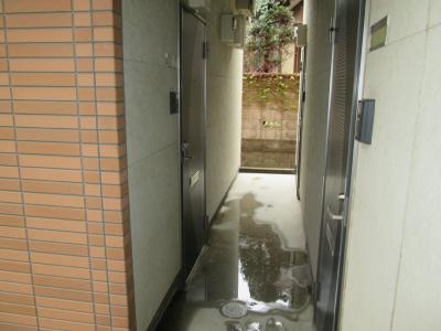 神奈川県川崎市中原区井田中ノ町 エントランス