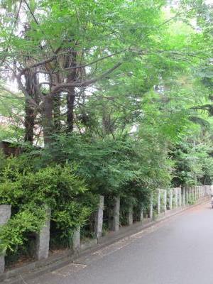 神奈川県川崎市中原区下小田中３丁目 周辺の街並み