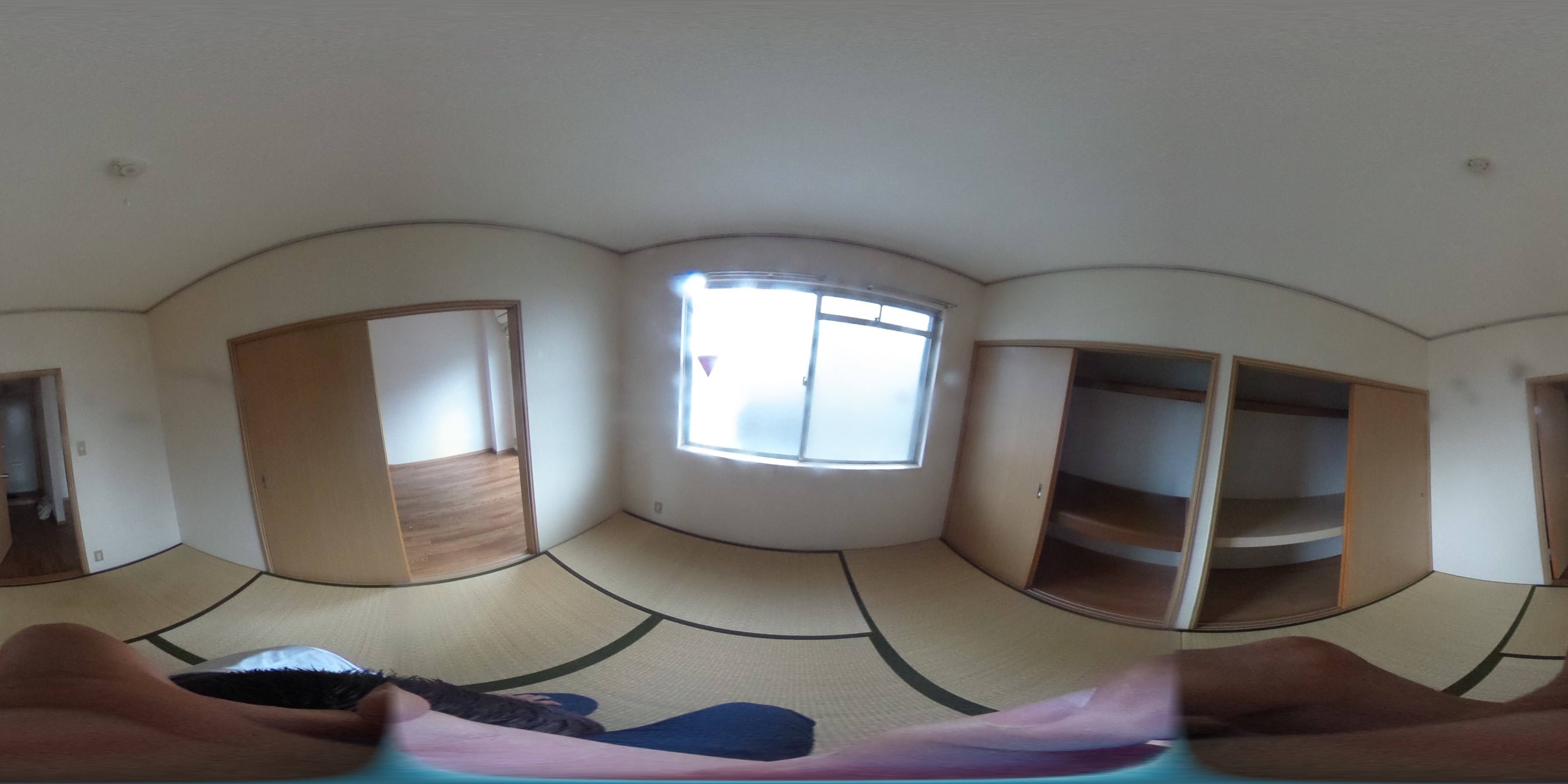 神奈川県川崎市中原区木月４丁目 和室