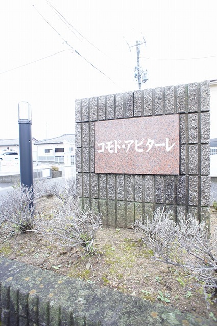 コモド・アビターレ その他