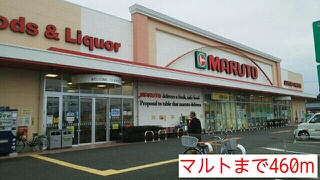 グラン・ドミール その他