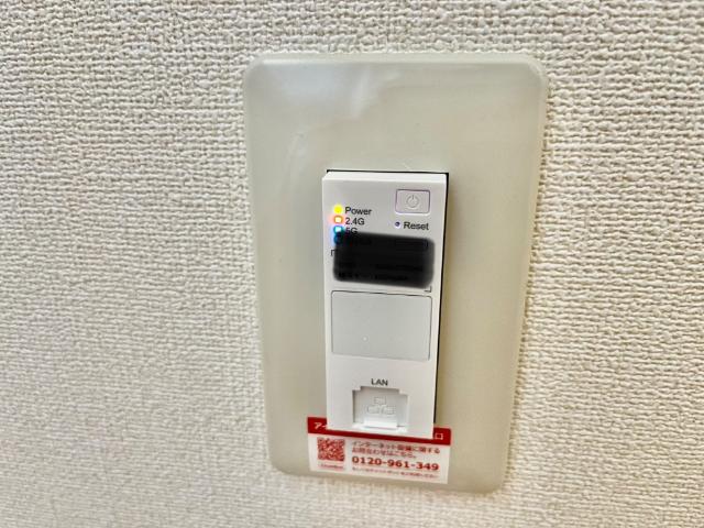 モア・ヴィーナス その他