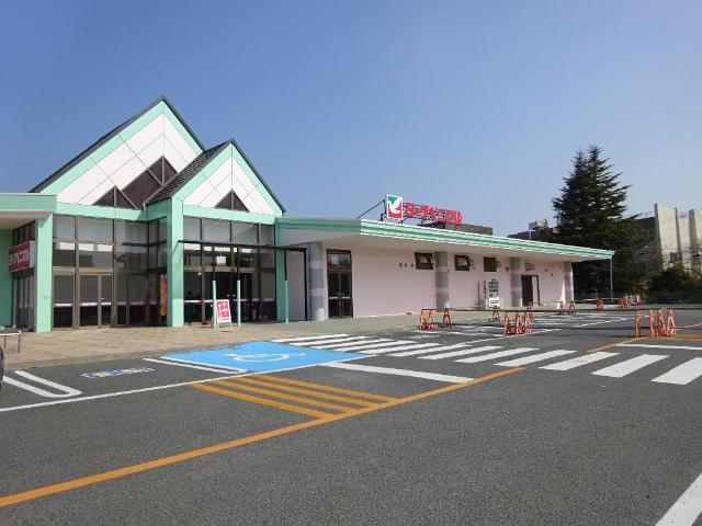 さくら その他
