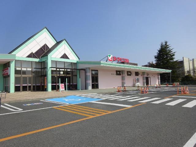 さくら その他
