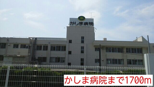 デスパシオ・カーサ その他