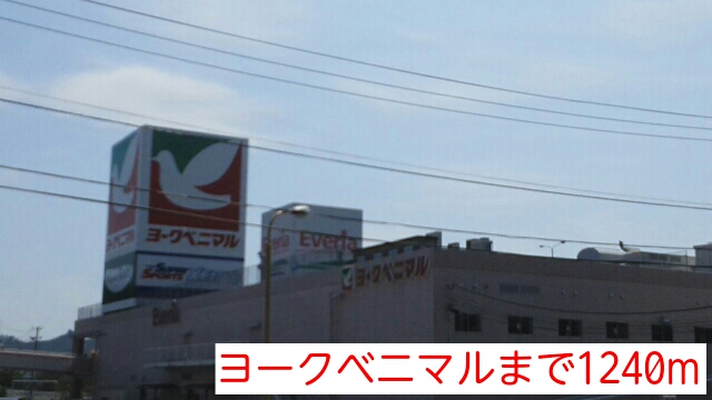 デスパシオ・カーサ その他