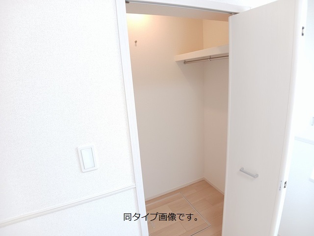 モンステラ 収納