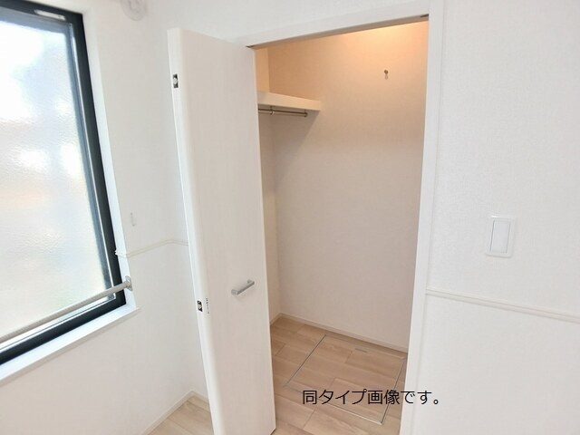 モンステラ 収納