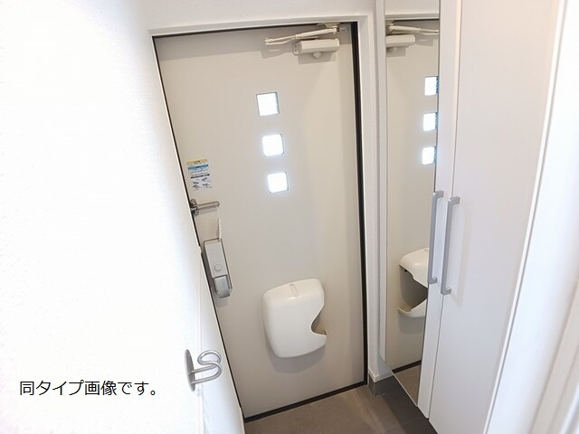 モンステラ 玄関