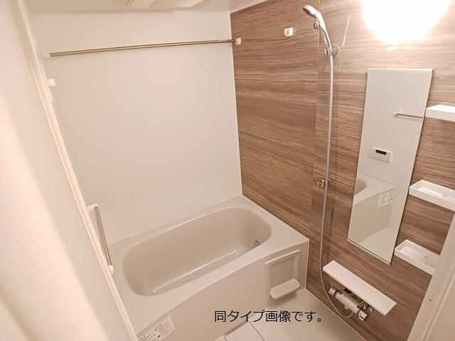 モンステラ 風呂画像