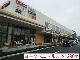 ビック　シャイン　２１ その他